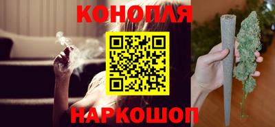 крисы Бузулук