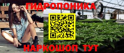 прущая мука Будённовск
