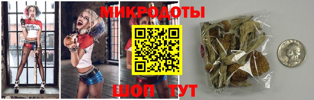 Галлюциногенные грибы GOLDEN TEACHER Семилуки